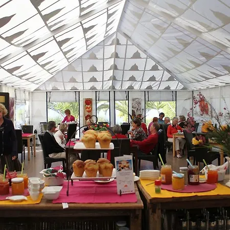 Casa Julia Finca Montimar * Guia de Isora (Tenerife)