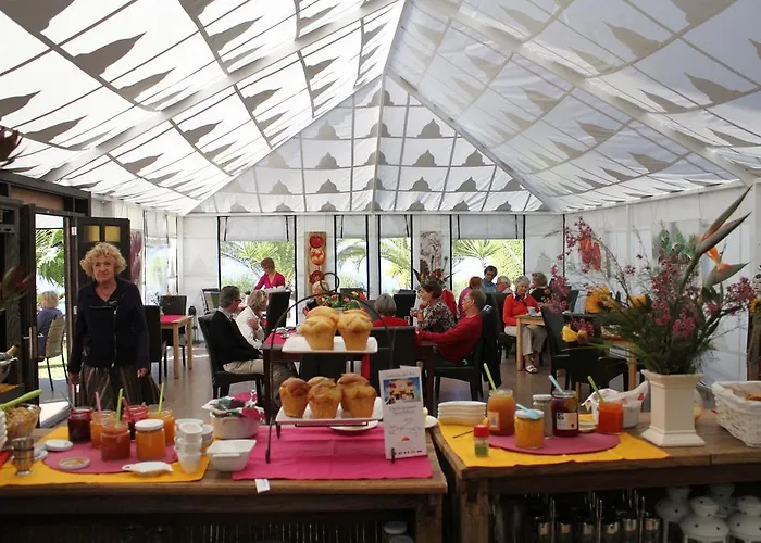 Casa Julia Montimar * Guía de Isora